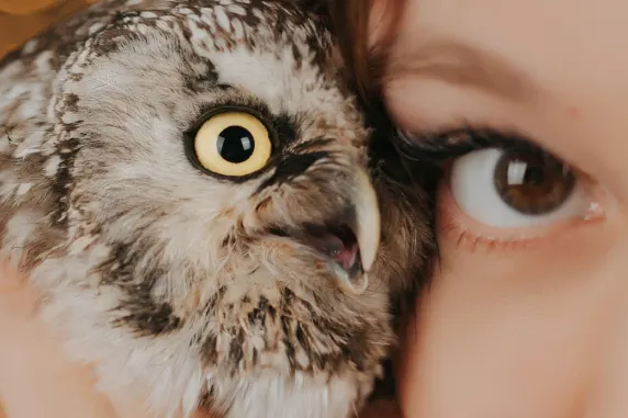 Casino Palace of Chance Podrška